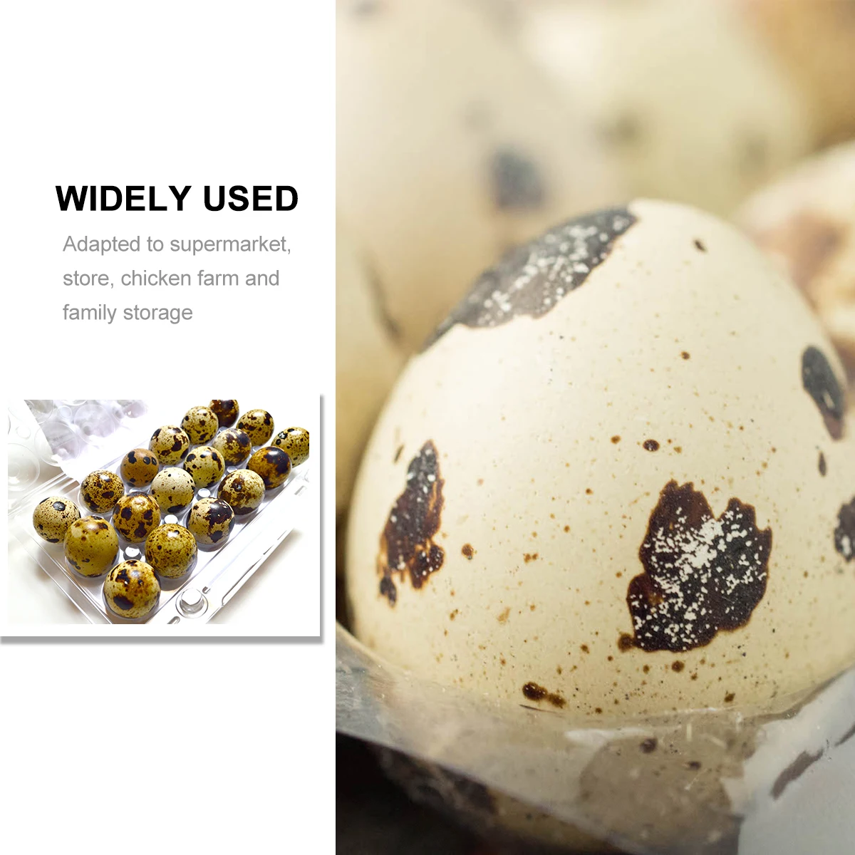 

50pcs Quail Egg Box Large Capacity Carton Storage Container Holder Durable Transparent Practical Easy Use Stabilized