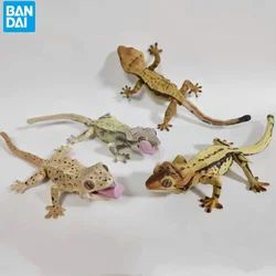 Original Bandai Gashapon Big Biological Map Gecko Lizard Blue-Tongued Skink Simulation Movable Action Figure Model Toy Gift
