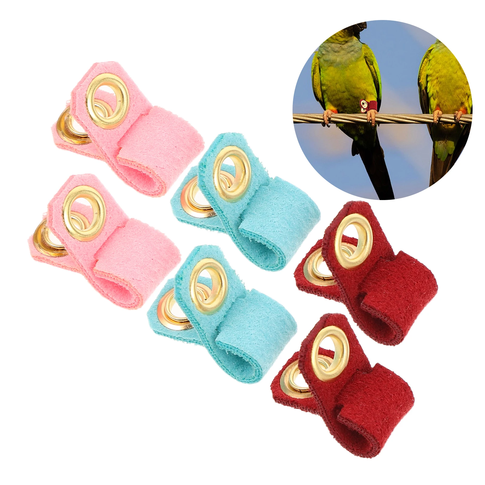 

6Pcs Parrot Leg Bands Comfortable Adjustable Foot Rings for Training Birds Pigeons Accessories Durable Soft Material