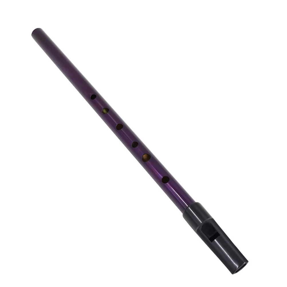 

Irish Whistle Clarinet Instrument Flute for Beginner Metal Beginners Beginner's D Tone Portable