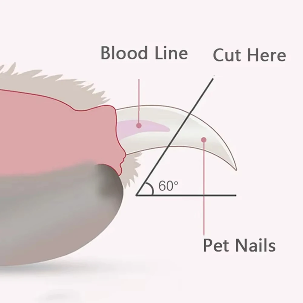 Thumbnail 3 - #82 Latest Dog Nail Clippers Offers