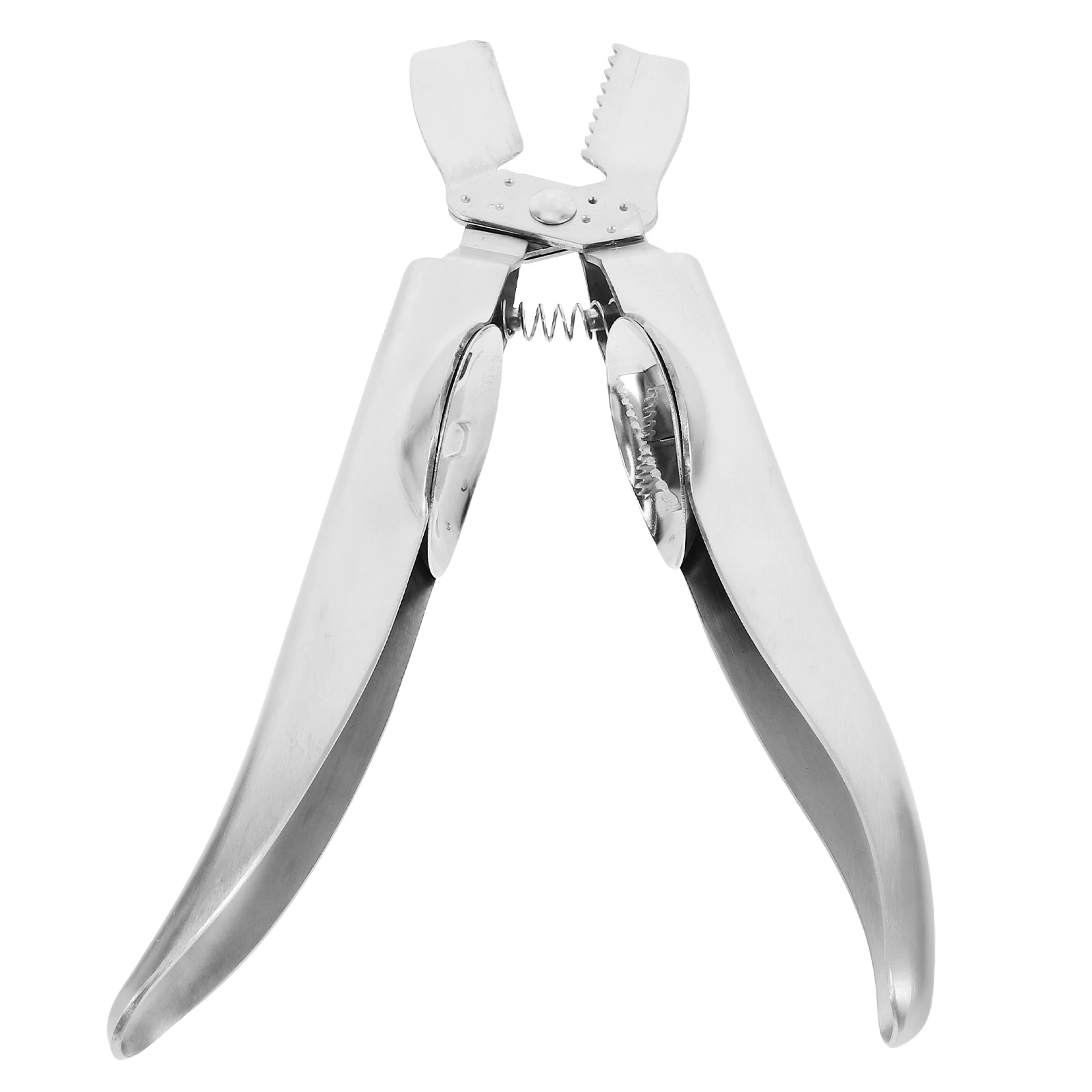 Chestnut Opener Crab Claw Cracker Clip Tool Cutter Stainless Steel Peeler Peeling Tools