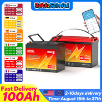 MOSEWORTH LiFePO4 12V 100Ah Battery Pack 12.8V Lithium Battery 8000+ Cycles With Bluetooth BMS Grade A For Boat RV Campers