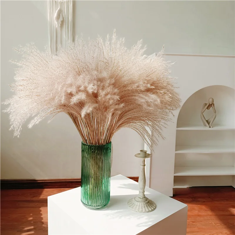 

100Pcs Dried Pampas Grass Bouquet Pompass Grass Natural Fluffy Dry Plants for Boho Home Kitchen Decor Wedding Floral Arrangement