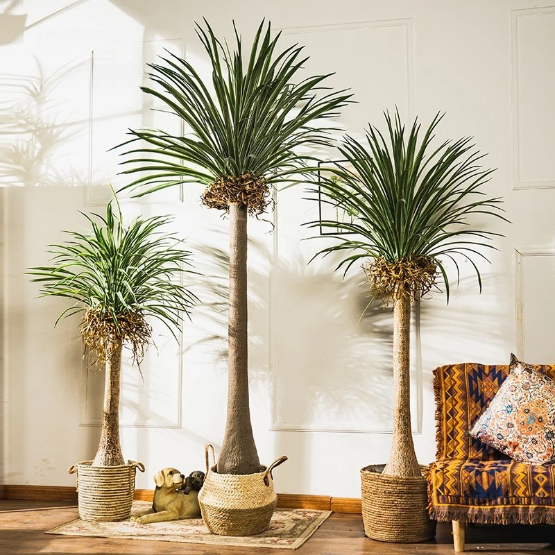 Baby Clothing Store - Plante artificielle Dracaena à toucher réaliste,