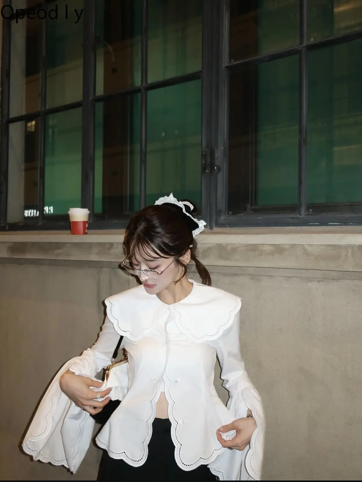 

French Imported Embroidered Lace Big Collar Shirt New 2026 Spring and Summer White Long-sleeved Elegant Commuter Women's Shirt