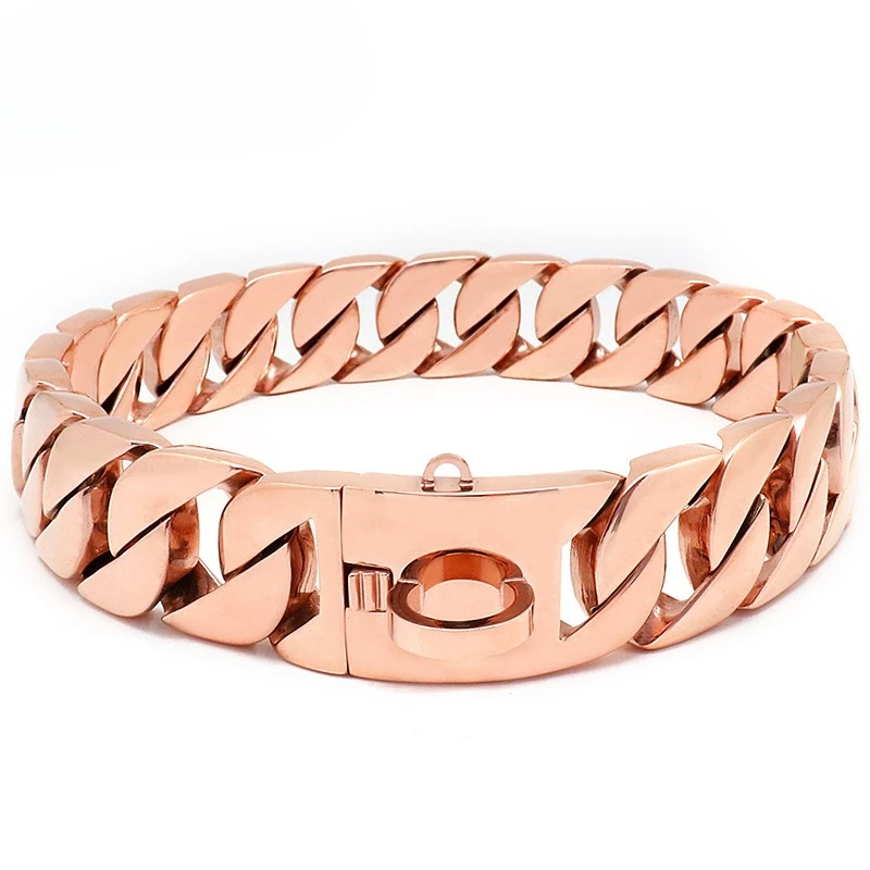 

Stainless steel dog collar necklace, thick dog leash, large dog titanium steel