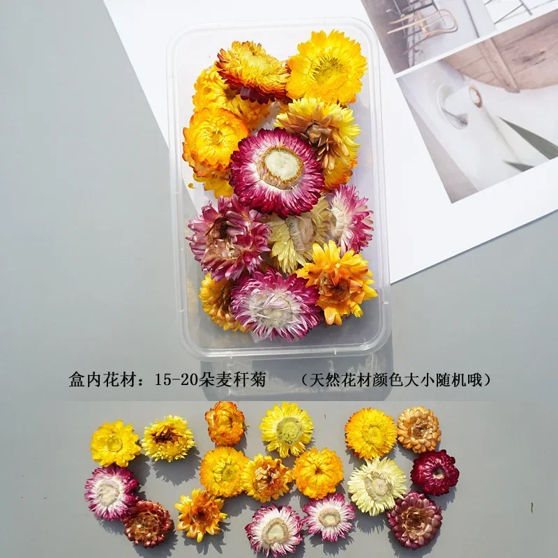 Natural Plant Dried Flower Material Package DIY Aromatherapy Wax Slice Gift Box Epoxy Resin Jewelry Making Flower Accessories