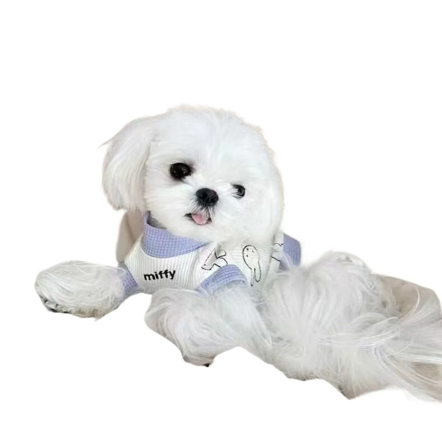 Kawaii Cartoon Miffy Waffle Pet Costume White Purple Splicing Fashion Daily Wear Perfect Gift for Puppy Kitten Lovely Beaytiful