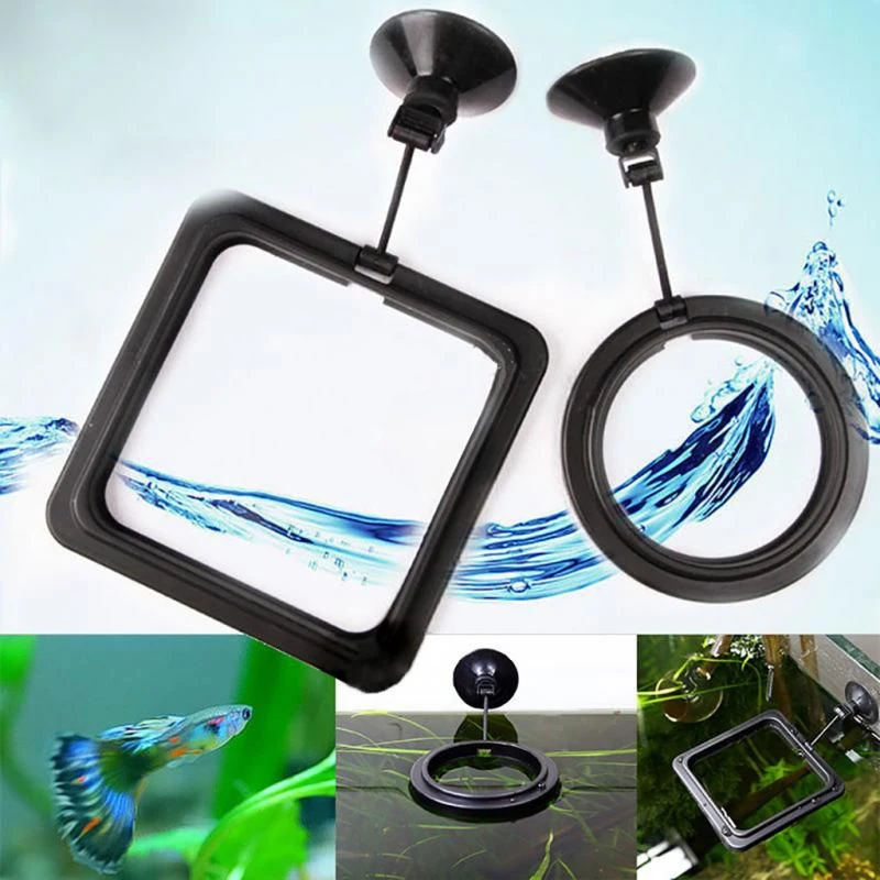 Aquarium Feeding Ring Fish Tank Station Floating Food Tray Feeder Square Circle Accessory Portable Fish Food Feeder Suction Cup