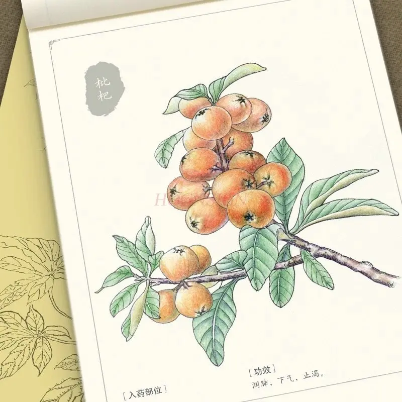 

Introduction to Chinese Painting White Painting: Chinese Painting Copy Album, Hand drawn Copy Book, Painting Book