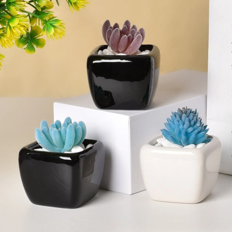 Mini Small Square Black White Ceramic Succulent Planter Pot Desktop Cactus Pot Home Office Desk Decor Gift