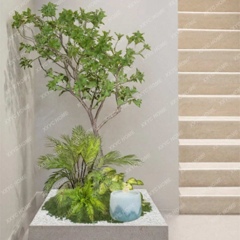 

Набор для ландшафтного дизайна помещений: декоративные зеленые растения и водные элементы