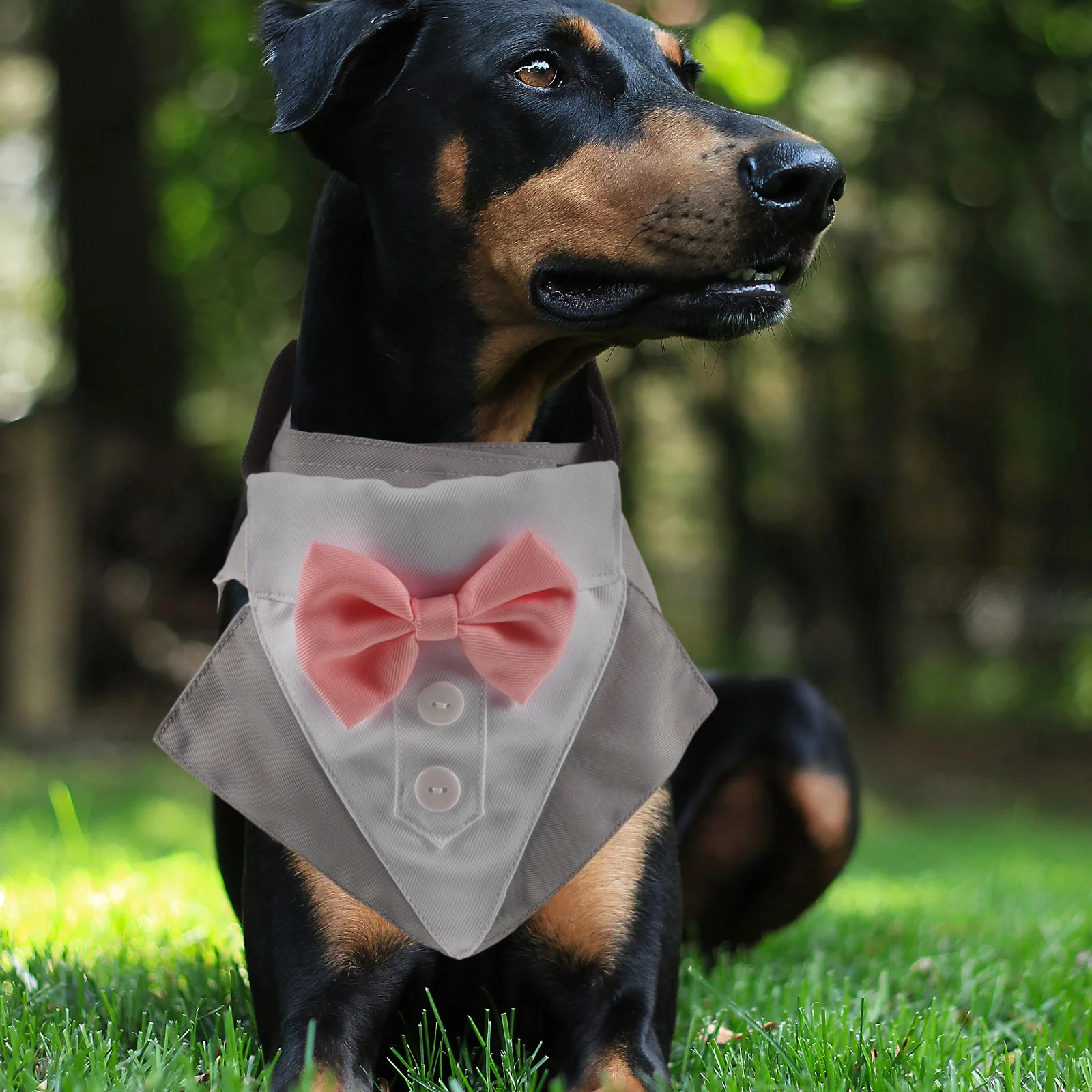 

1 set Dog Tuxedo Suit Gray Gentleman Cosplay Costume Tie Clothes Wedding Party Outfit Puppy Formal Wear Pet Accessories