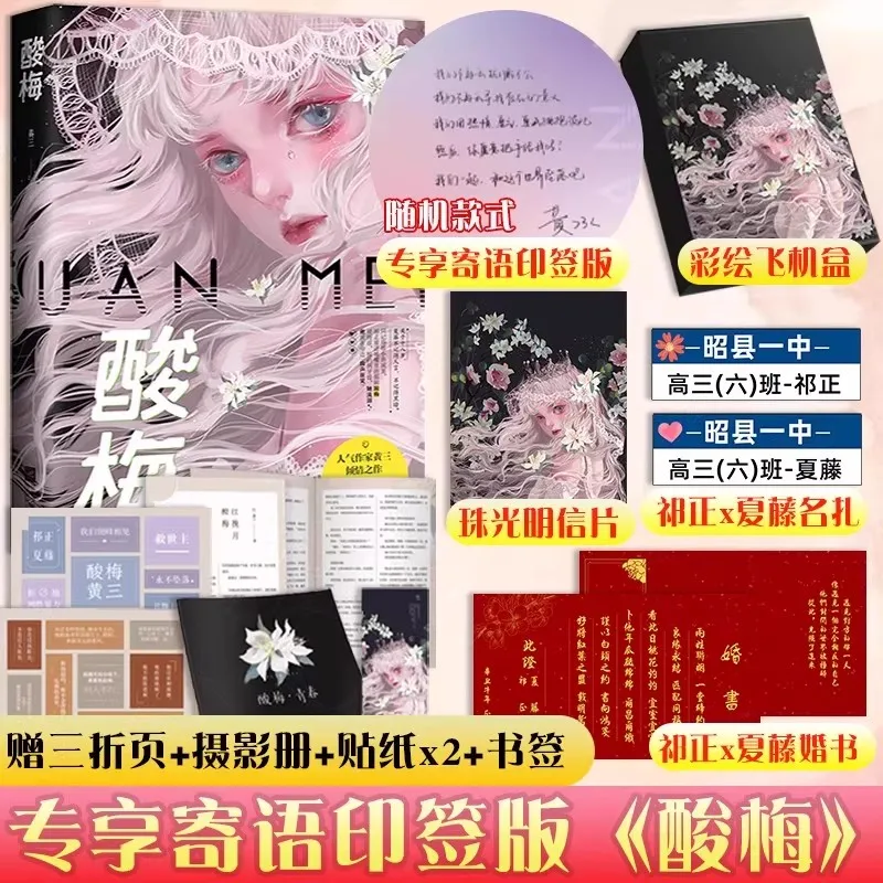 Acid Plum (Suan Mei) Novel by Huang San - Chinese Youth Campus Love Story Book with Bonus Postscript