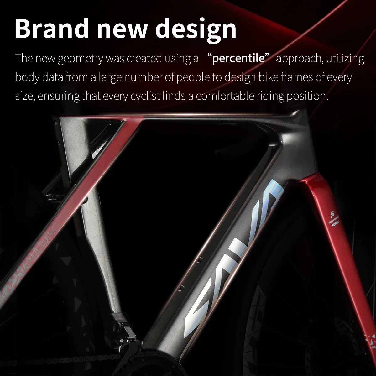 Ultralight Carbon Di2 Road Bike 5