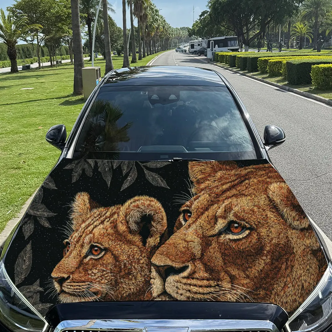 

Car Decal Lionesses in Artistic Background with Textural Elements & Wild-Companion Visual Details Car Hood Sticker, Waterproof S