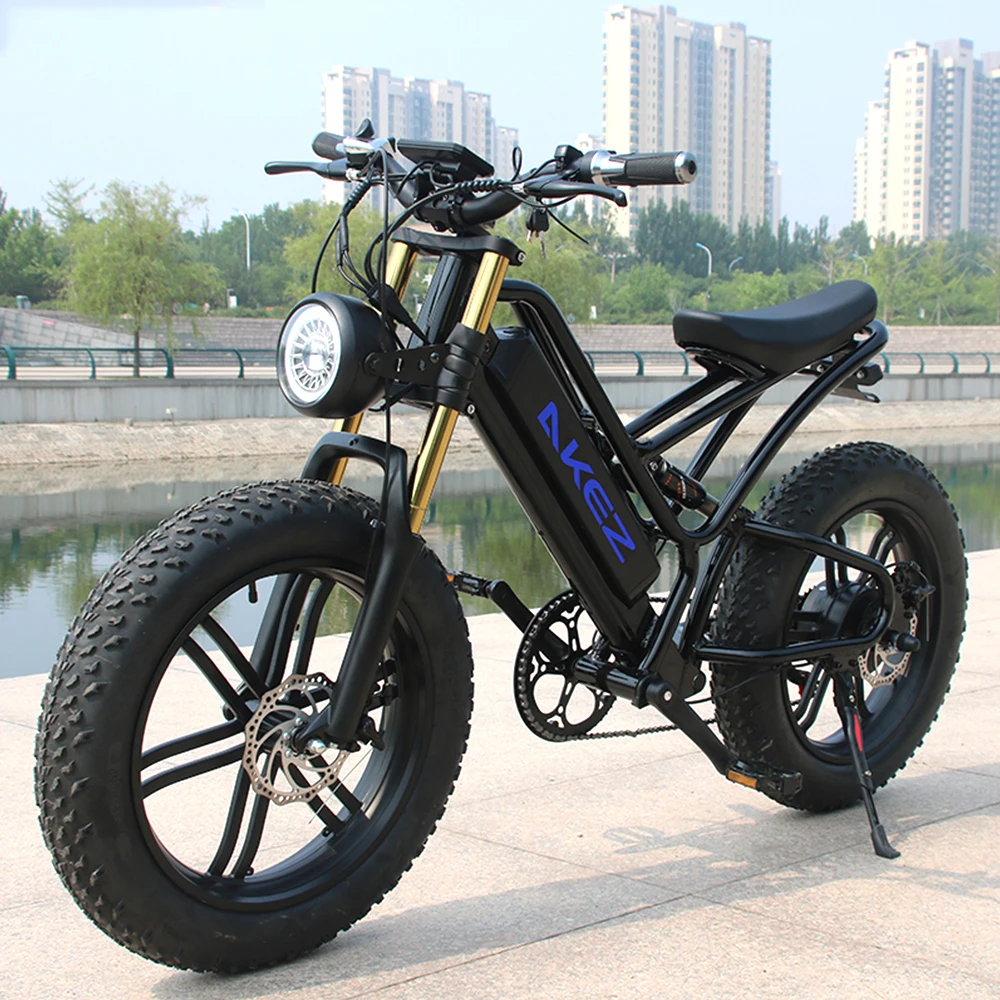 

750 W 17.5ah Electric Bike 20 Inch Fat Electric Bicycle Motor Aluminium Alloy Frame E-bike