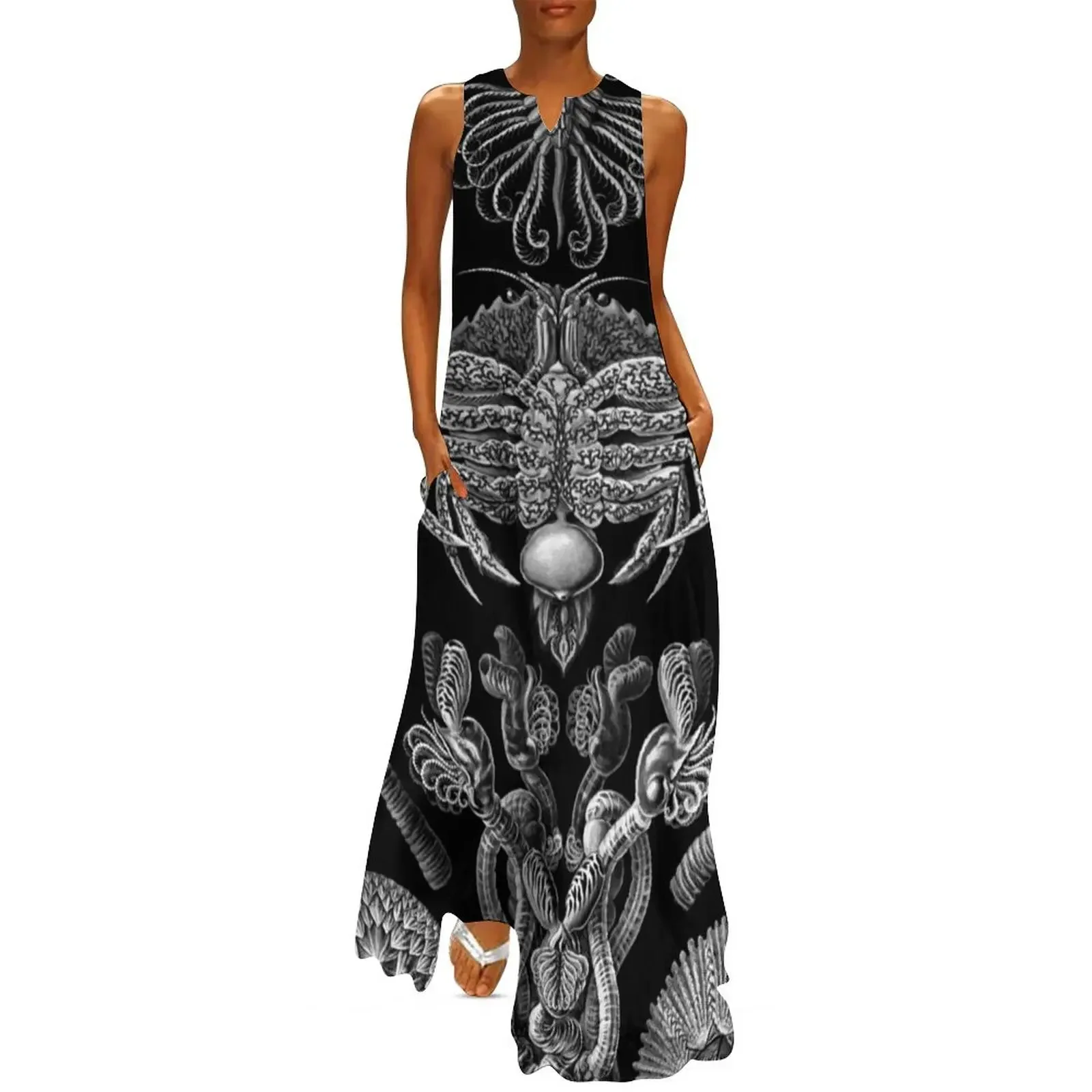 

Haeckel Cirripedia Drawing Long Dress Party dresses Long dresses Dress