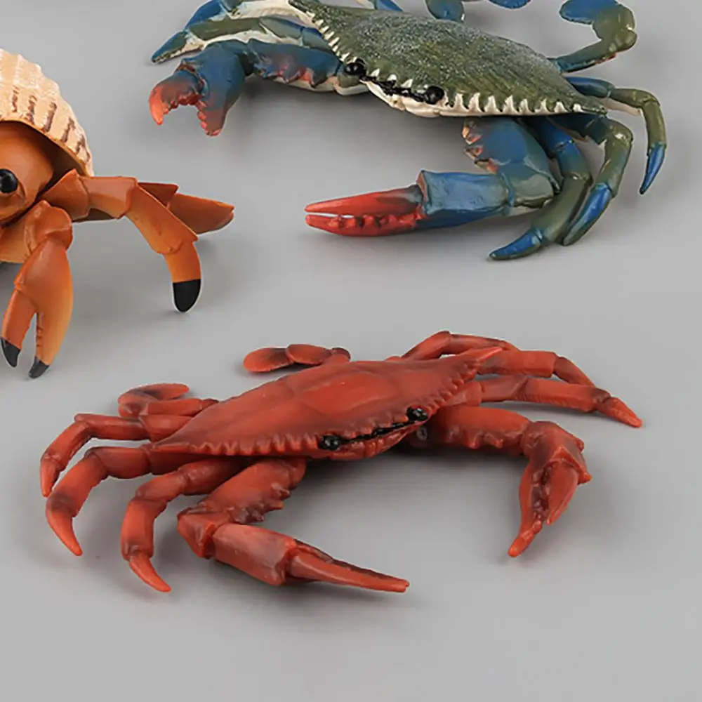 Sea Animal Red Crab Models Simulation Crabs Figurine Scenes Making Micro Landscape Realistic Gift  Kids Cognition Toy