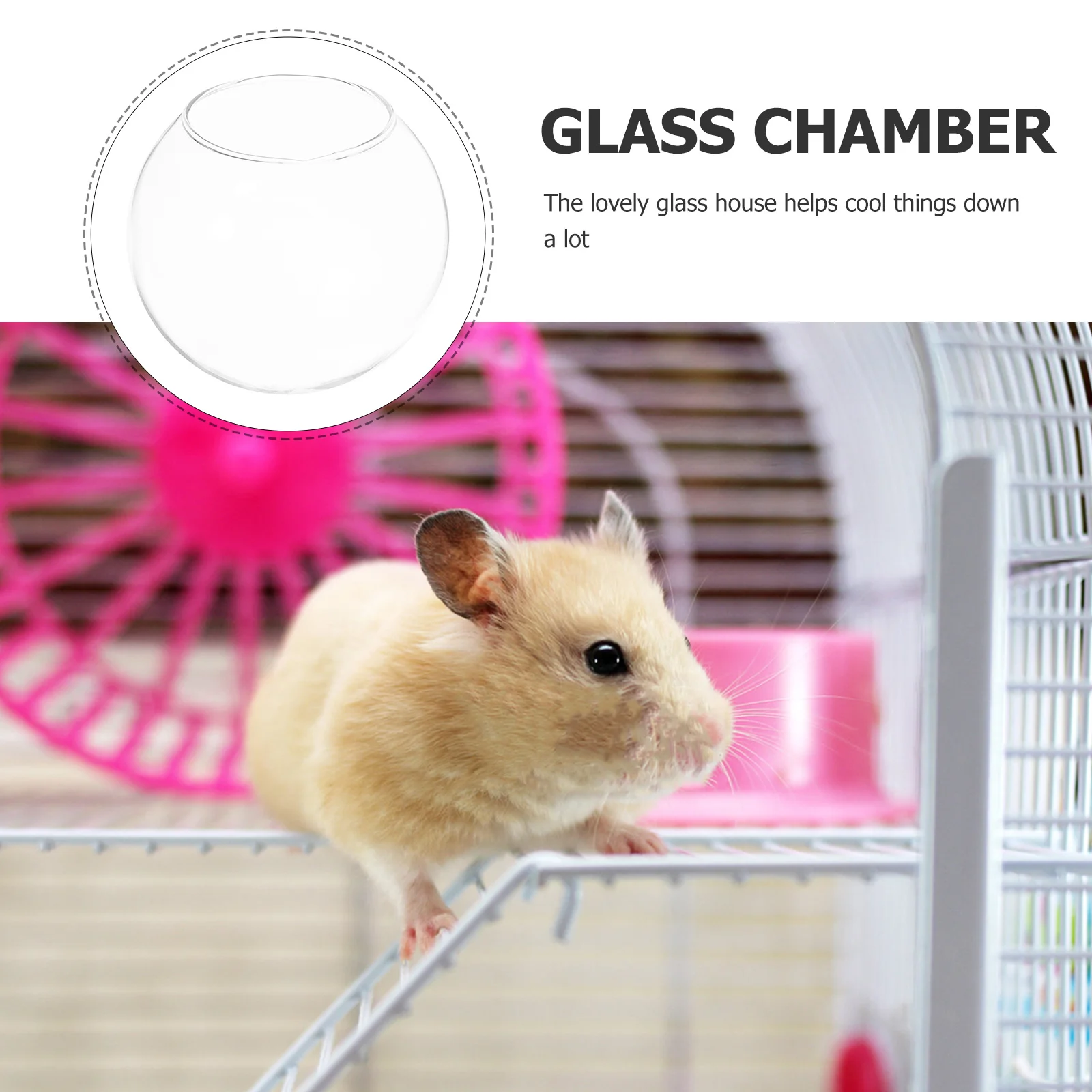 

Hamster Glass Cooling House Clear Pet Nest Chinchilla Small Animal Comfortable Resting Bed Hamster Cool Nest Hedgehog House