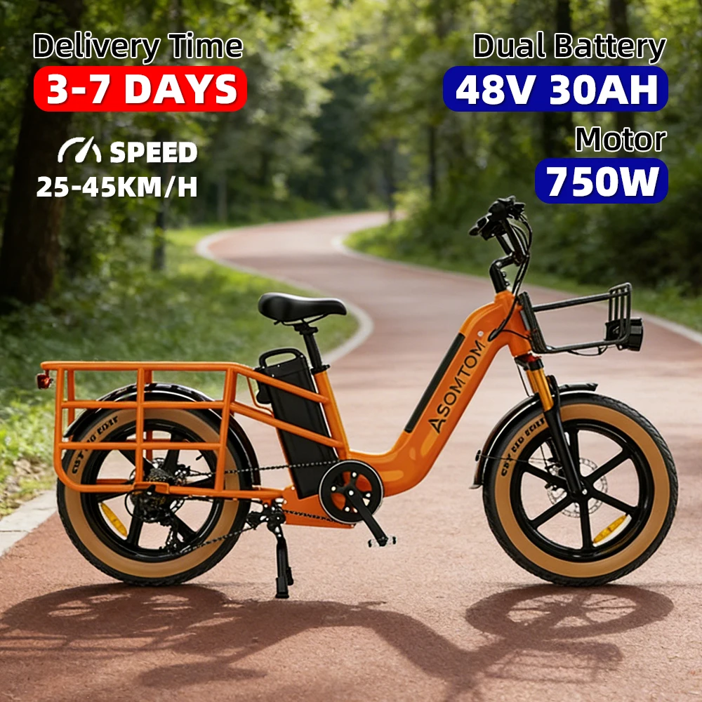 

One piece dropshipping 20 inch electric bicycle 750W48V30AH dual battery heavy-duty king electric snow bike from the United Stat