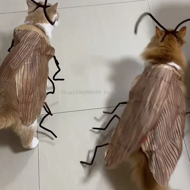 

Cat Cosplay Dress Up Cockroach Costume Pet Breathable Clothingfunny Party Decoration Outfit Uniform Pet Supplies