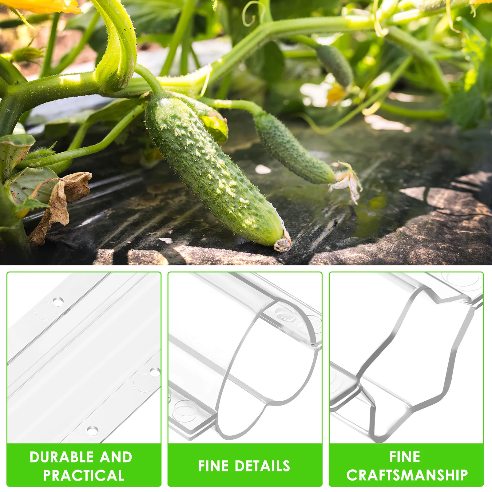 

4Pcs Fruit Shaping Molds Vegetable Growing Accessories Premium Material Easy to Use Delicate Design Long Lasting Sunlight