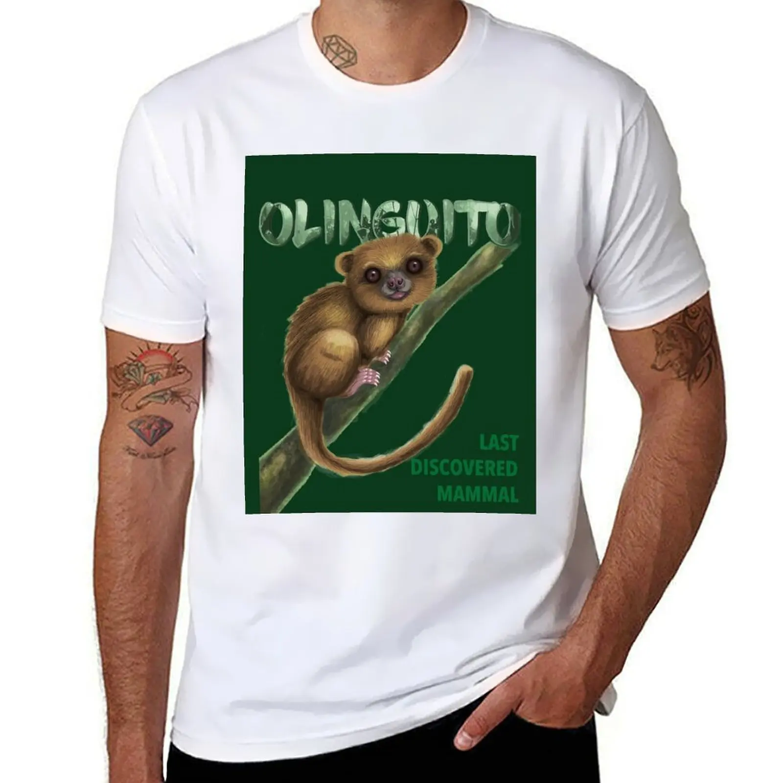 

Mammal Olinguito T-Shirt Basic Plain Short Sleeve Crew Neck Tee