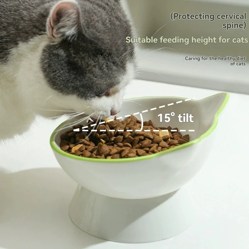 Thumbnail 3 - #38 Top Rated Elevated Cat Feeding Bowls to Buy in 2026