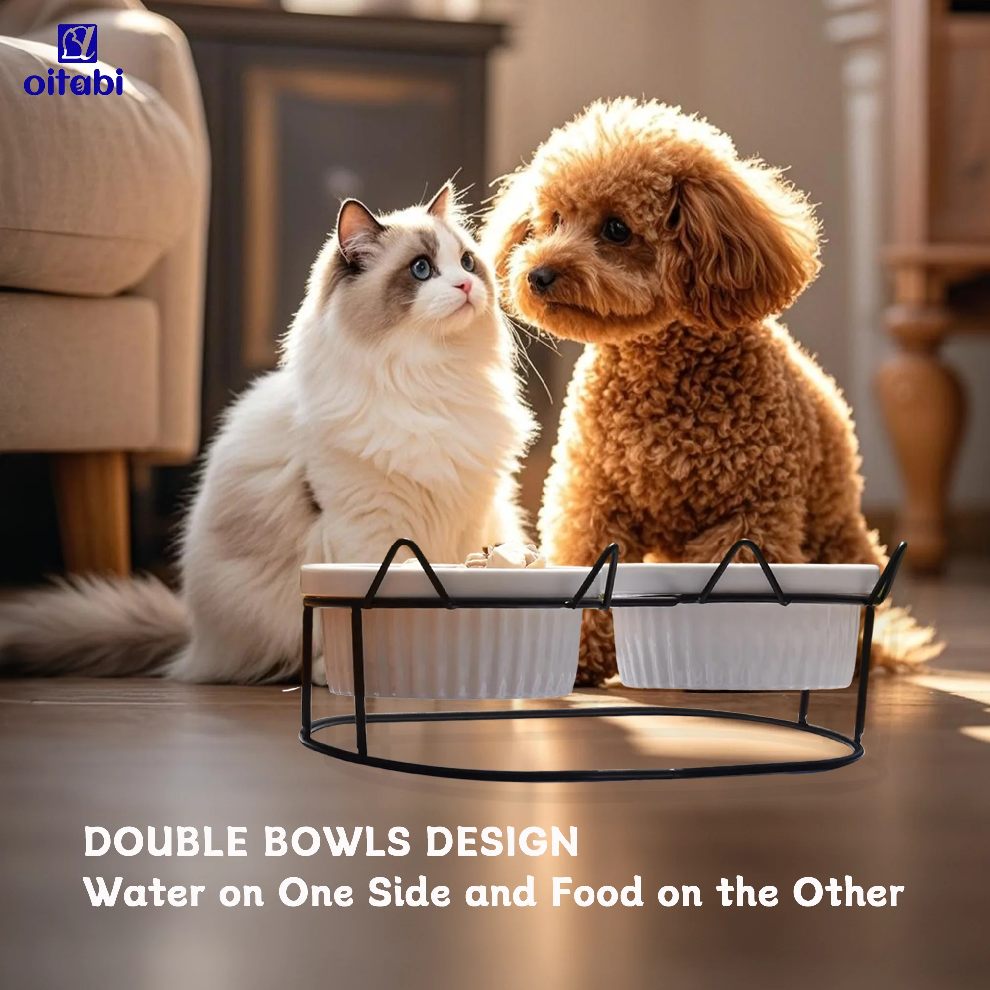 Ciotole per gatti rialzate Oitabi, 15 ° Piatti per gatti rialzati anti-vomito con supporto inclinato per cibo e acqua, 2 ciotole in ceramica per gatti e cuccioli