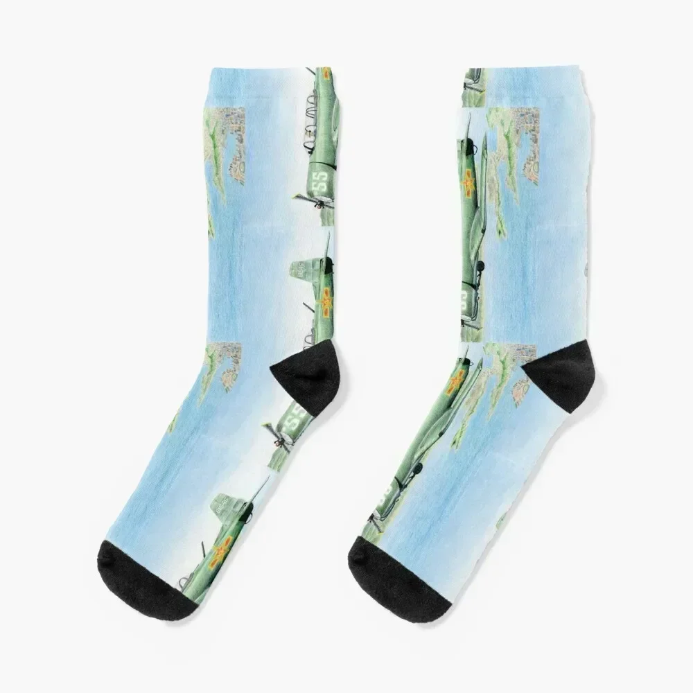 Nanchang CJ-6A Socks gifts cycling Hiking boots Socks Ladies Men's