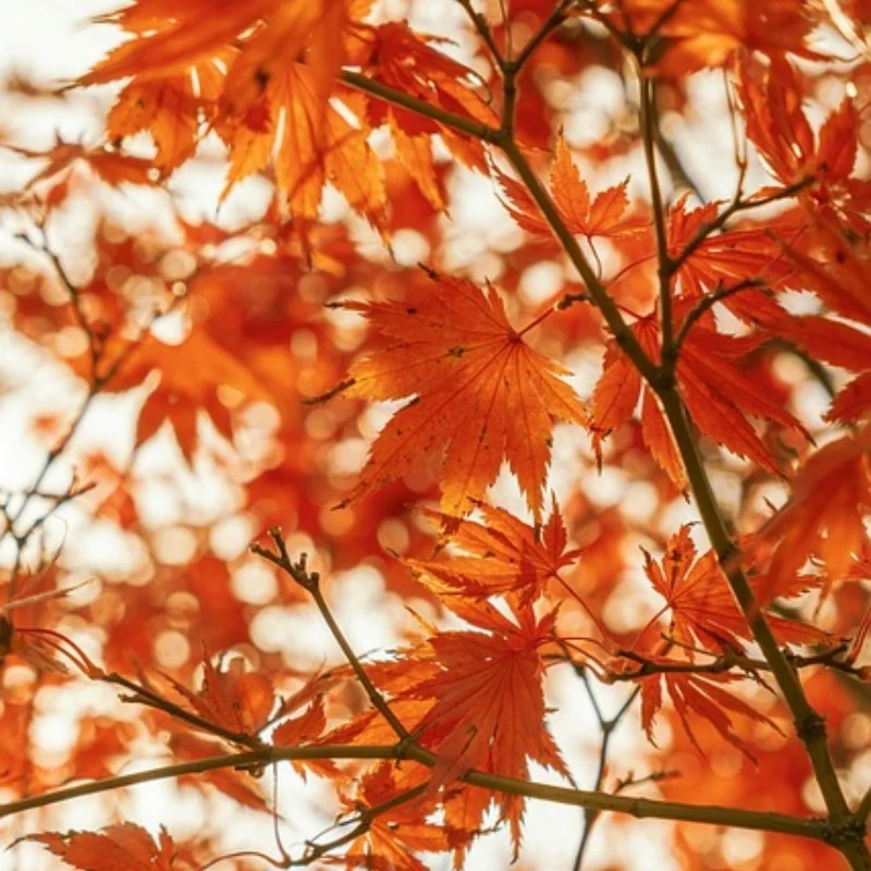 

Новый комплект для обновления рулевого вала для MJX 14210 14209 14211 14301 14303 14304 1/14, детали для обновления радиоуправляемого автомобиля