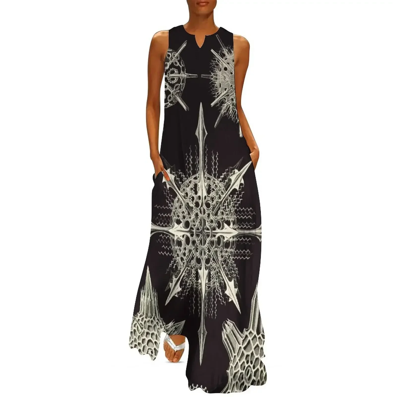 

Plate 41. Acanthophracta, marine protozoans that typically have a lattice-work skeleton. Long Dress dress for women Dress