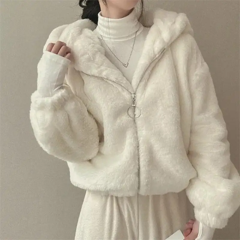 Hooded Plush Thick Section Wool Jacket Women's Fall And Winter Padded Thickened Zipper Warm Short Coat Cute New Fashion