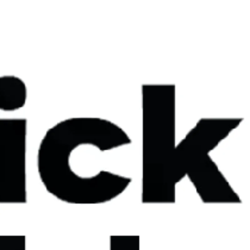 

Stainless Steel Retractable Scratcher Portable Telescopic Back Scratcher Itch Massage Tool Adjustable Double Pole Scratcher Gift