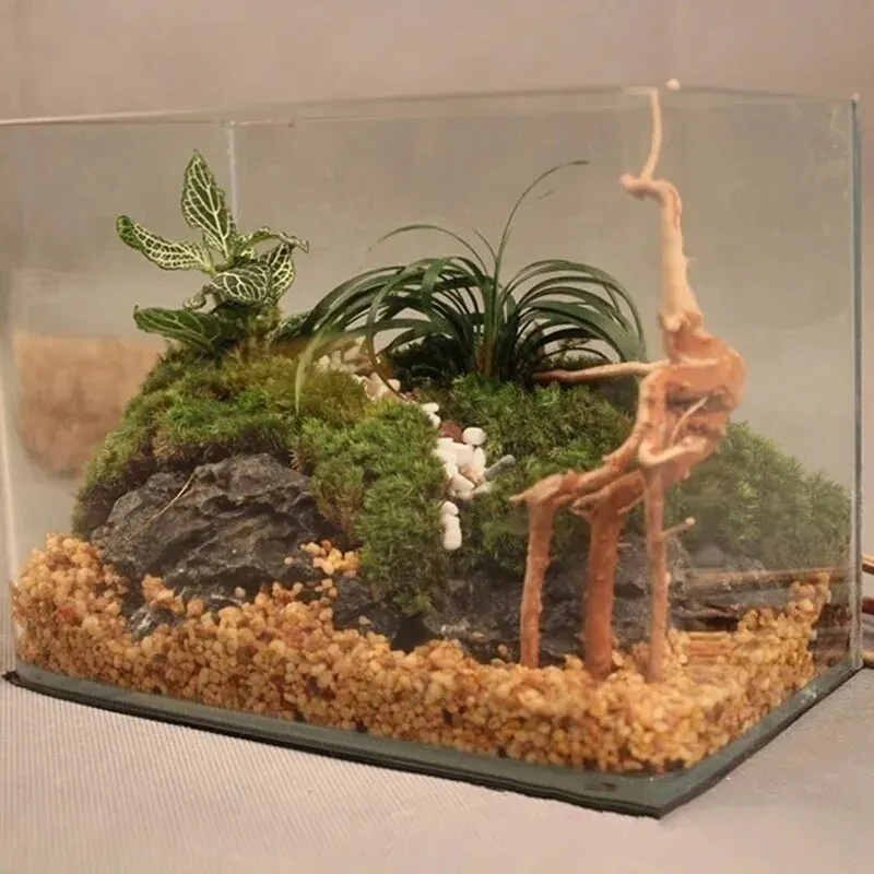 Racines de coucou en bois flotté naturel, tronc d'arbre en bois de fréquence, micro paysage créatif, oiseaux de reptile, ornement précieux de poisson, décor d'aquarium