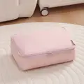 pink-clothing bag