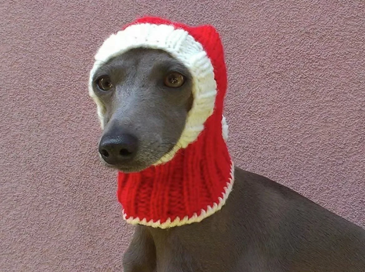 Striped Wool Dog Hat, Handwoven Pet Hat, Suitable for Small, Medium, Large Dogs, Red, Christmas