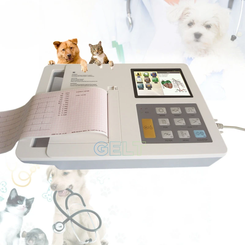 

portable 7 inch electrocardiograma machine 6-channels Veterinary Digital