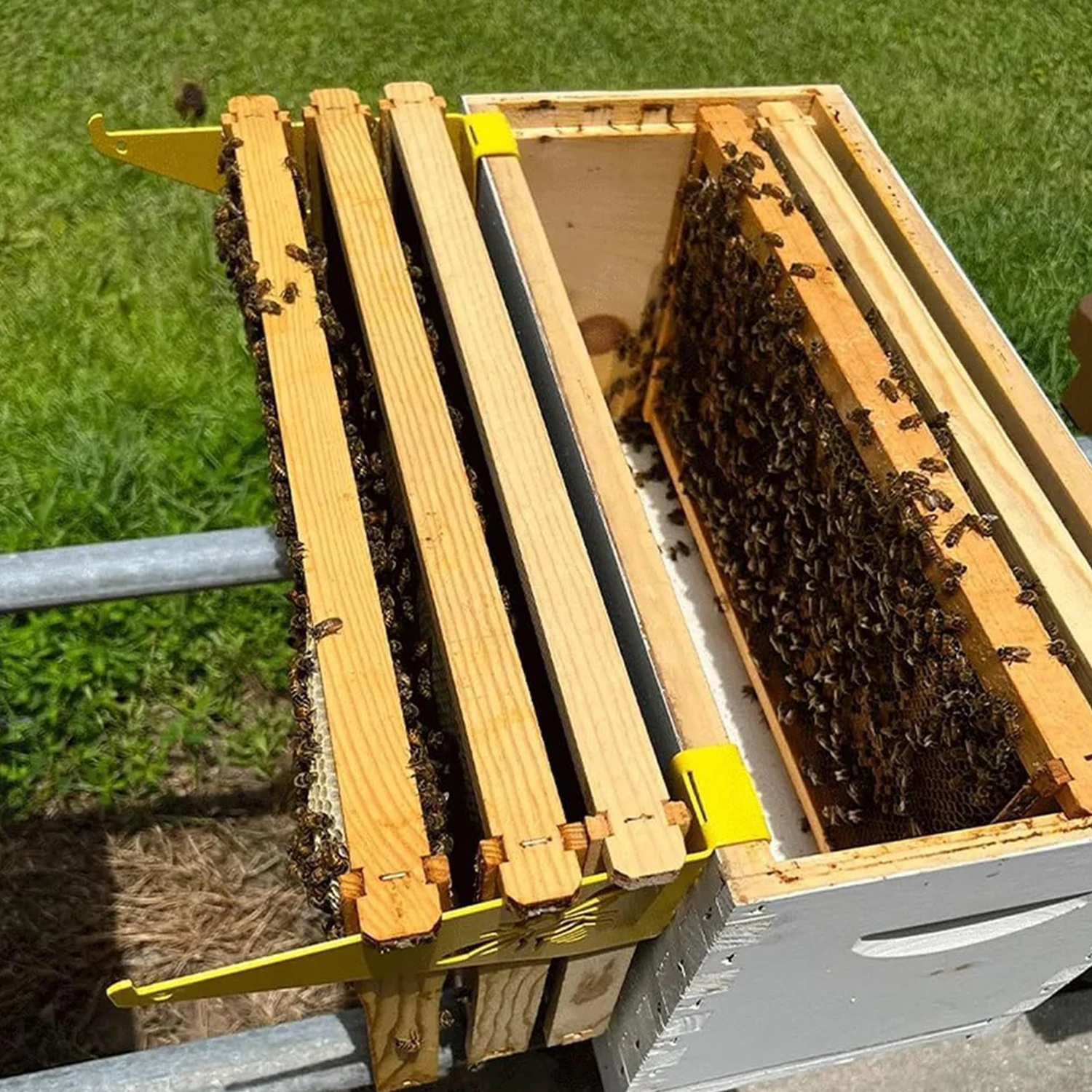 Soporte de inspección de colmena de abejas, soporte de marco de colmena de abejas de acero inoxidable, agarre para apicultura, herramientas de