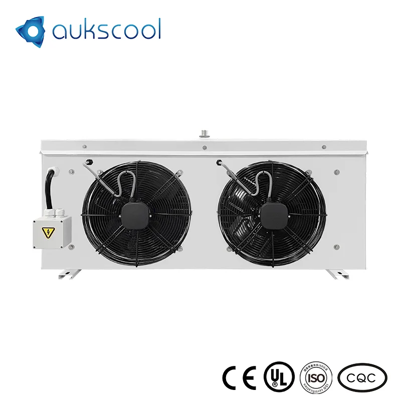 Control Box Walk-In Cooled Room Refrigeration Air Cooler for Fruits/Fresh Flowers Cold Storage