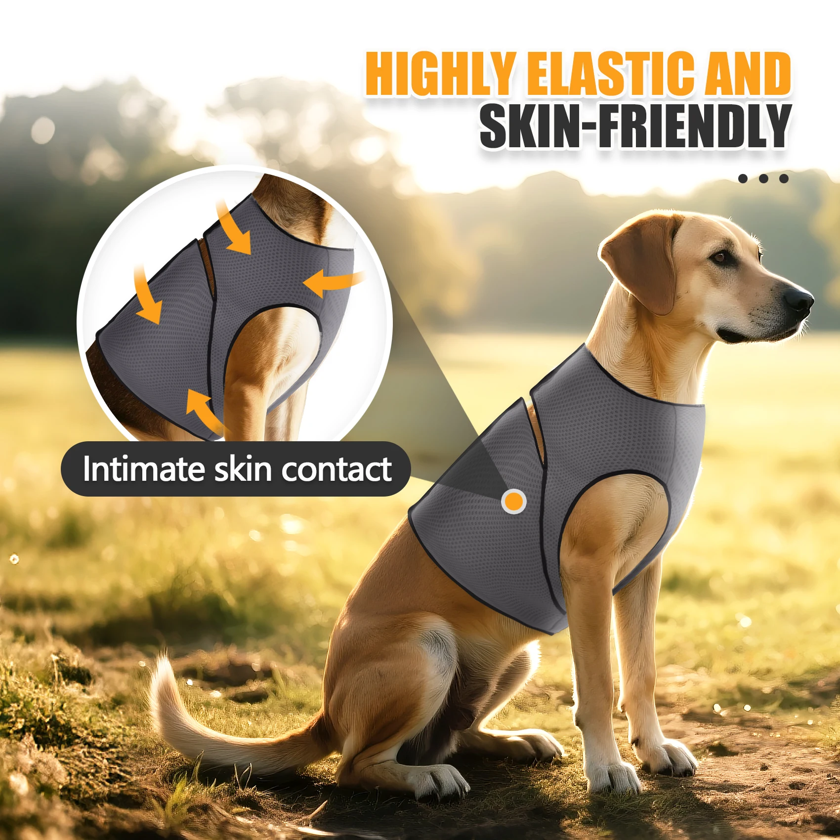 Thumbnail 3 - #74 Compare Dog Coats Before You Buy
