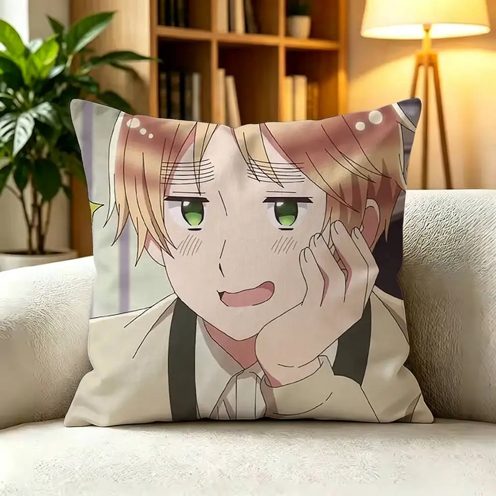 Anime H-Hetalia The Beautiful World Pillow Cover Sofa Cushion Cover Home Room Decoration Children Gift