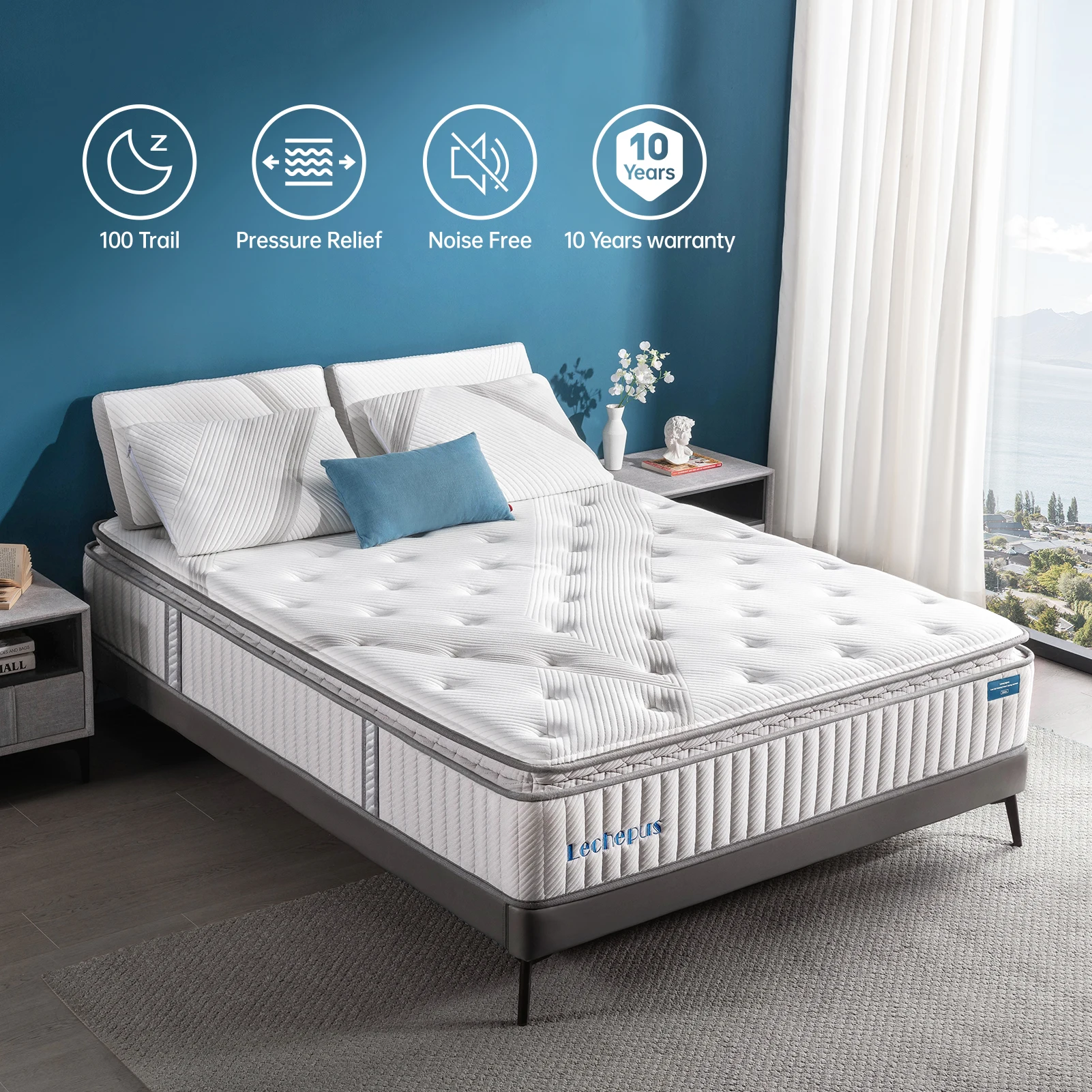 12 Inch Queen Size Mattress, Lechepus Medium Firm Memory Foam Hybrid Mattress with Pocket Innerspring