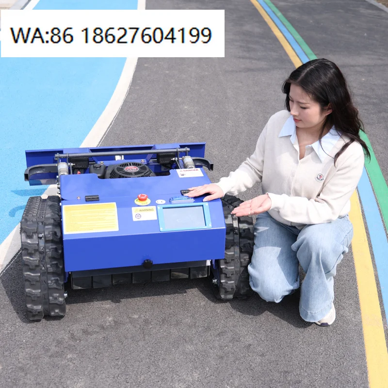 

Mini Intelligent Cordless Lawn Mower Control China Made for Farmers Multi Functional Factory Direct Sales of