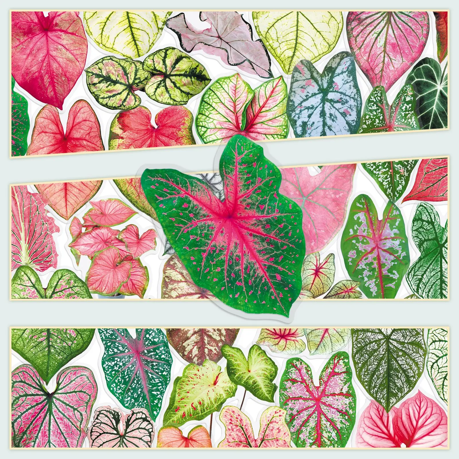 

50PCS Colorful Taro Stickers Plant Leaves PET Material DIY Decorative Laptop Pocketbook iPad Waterproof Stickers Kids Toy
