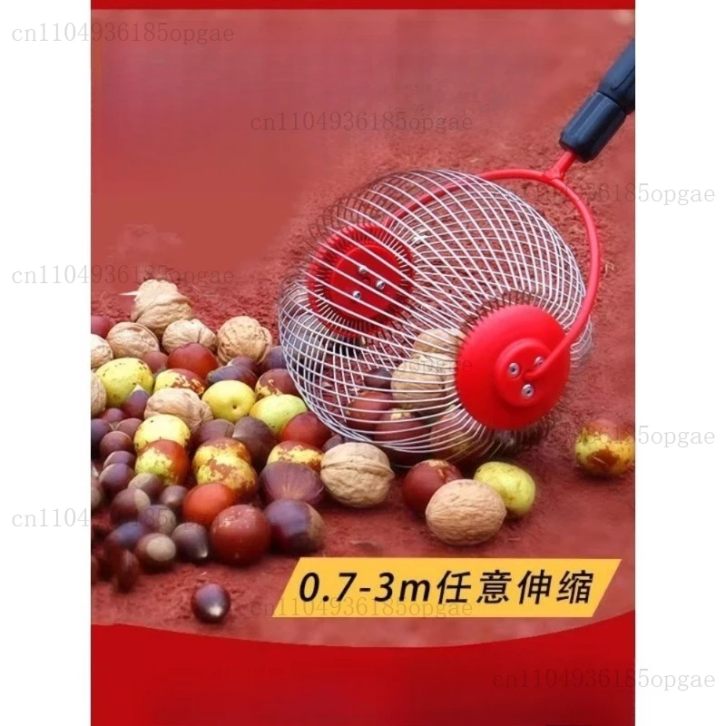 Pecan Nut Pick Chestnut Fruit Collector Fruit Picker Quick Pick Fruit