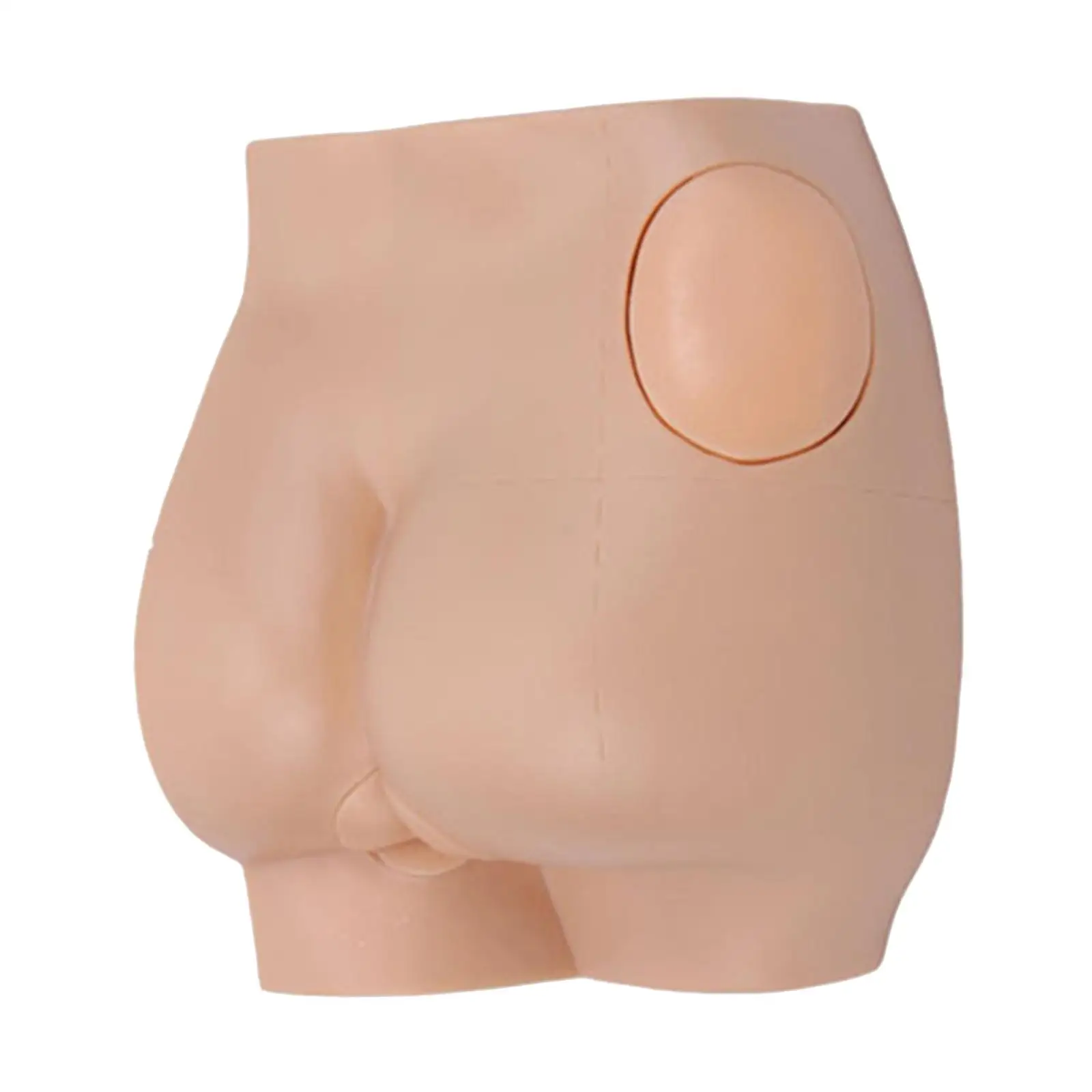 

Лабораторные наборы модели 3D для практики инъекций ягодиц, реалистичные для биологических материалов