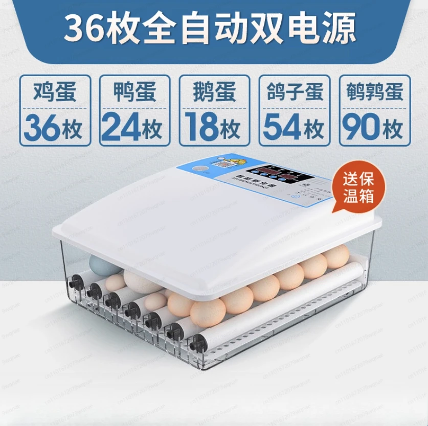 

Home Incubator Automatic Intelligent Dual Power Supply 36